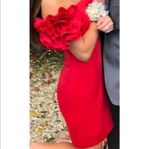 Aqua Red Statement Dress